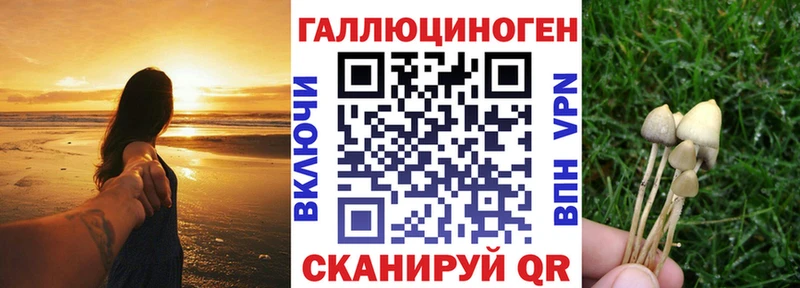хочу   kraken tor  Галлюциногенные грибы прущие грибы  Курлово 