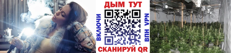 МАРИХУАНА THC 21%  Курлово 